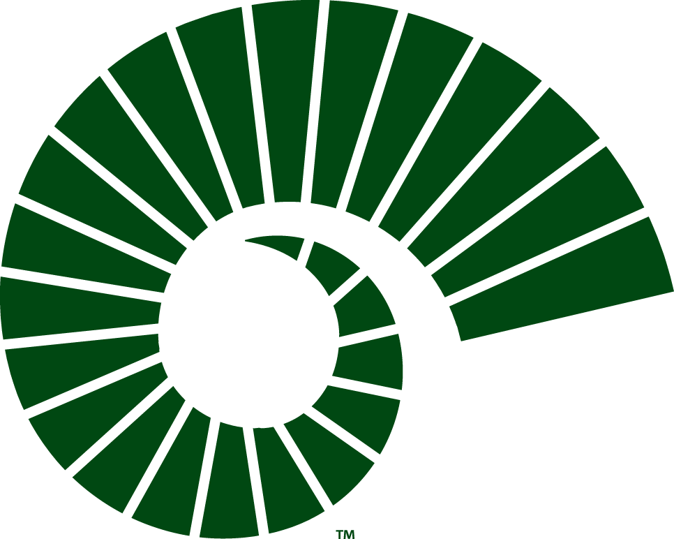 Colorado State Rams 2015-Pres Alternate Logo v2 diy fabric transfer